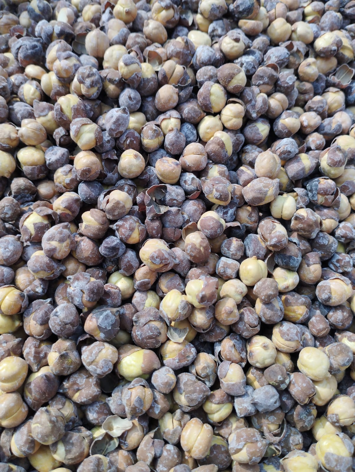 Salted Chana