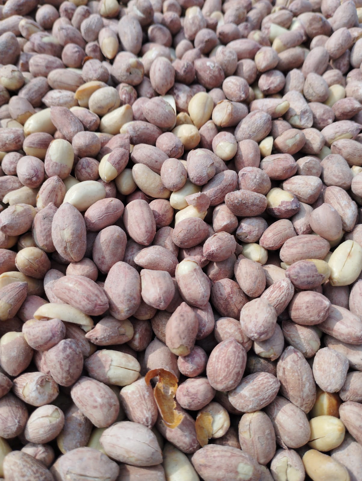 Salted Peanuts